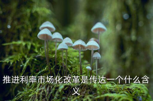推進(jìn)利率市場(chǎng)化改革是傳達(dá)一個(gè)什么含義