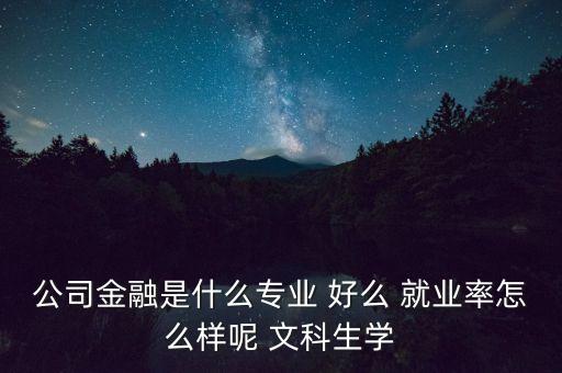 什么叫公司金融，公司金融是什么專業(yè) 好么 就業(yè)率怎么樣呢 文科生學(xué)