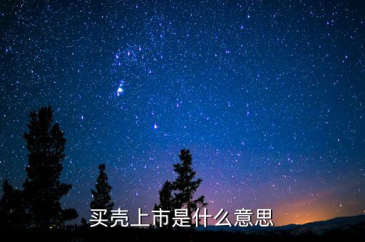 買(mǎi)殼上市是什么意思