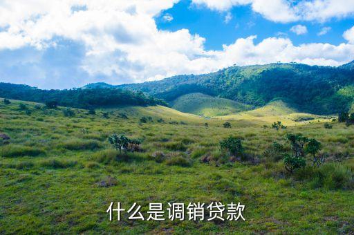 什么是銷售貸款，什么是調(diào)銷貸款