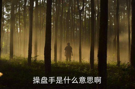 股票里操盤手聯(lián)盟是什么意思，有哪位高人可以給我詳細解釋下操盤手是什么意思