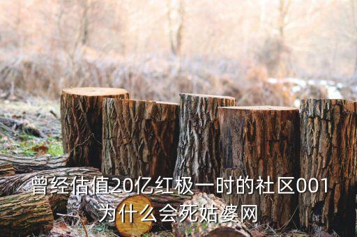 曾經(jīng)估值20億紅極一時(shí)的社區(qū)001為什么會(huì)死姑婆網(wǎng)