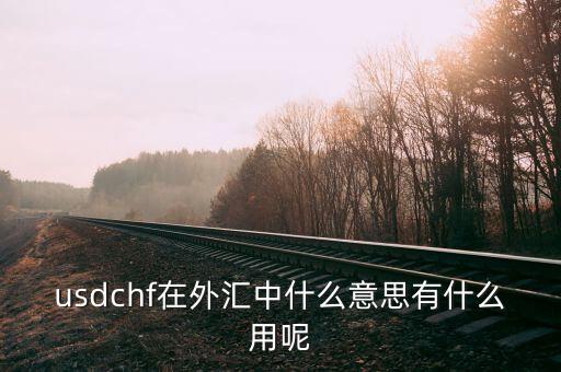 usdchf在外匯中什么意思有什么用呢