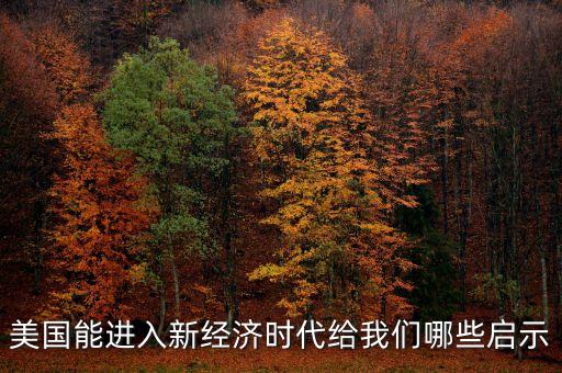 美國(guó)能進(jìn)入新經(jīng)濟(jì)時(shí)代給我們哪些啟示