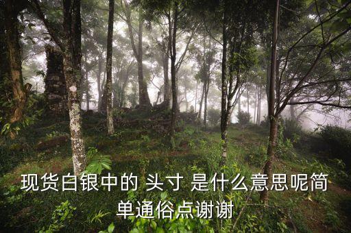 白銀頭寸是什么意思，現(xiàn)貨白銀的頭寸是什么意思啊拿頭寸好不好