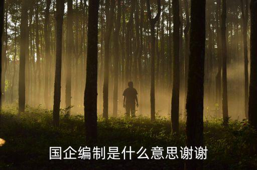 國企編制是什么意思謝謝