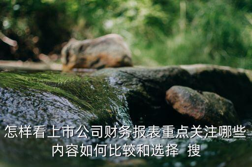 上市公司報(bào)表主要看什么，怎樣看上市公司財(cái)務(wù)報(bào)表重點(diǎn)關(guān)注哪些內(nèi)容如何比較和選擇  搜