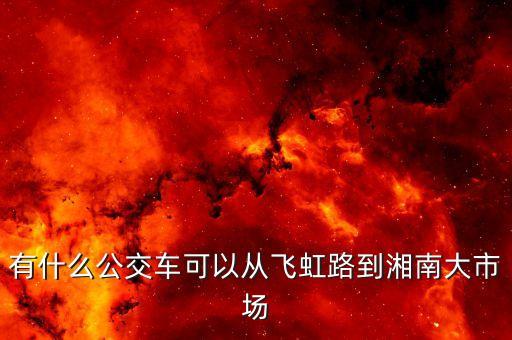 有什么公交車可以從飛虹路到湘南大市場