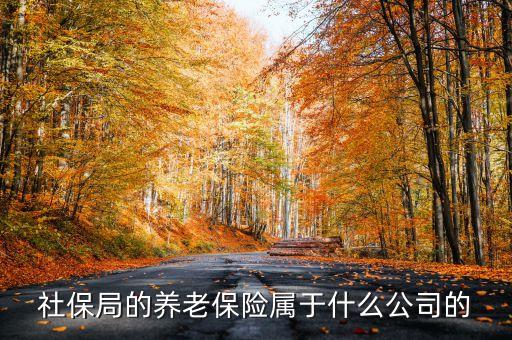 社保局的養(yǎng)老保險(xiǎn)屬于什么公司的
