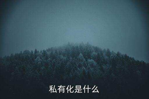 什么叫股票私有化，私有化是什么