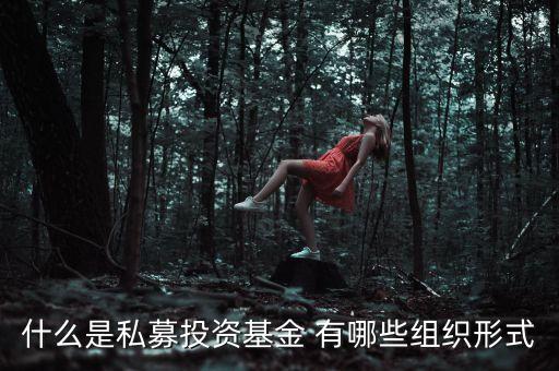 什么是募投資金，什么是私募投資基金 有哪些組織形式
