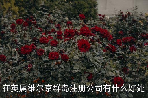 在英屬維爾京群島設(shè)立子公司有什么好處，設(shè)立子公司的好處有哪些
