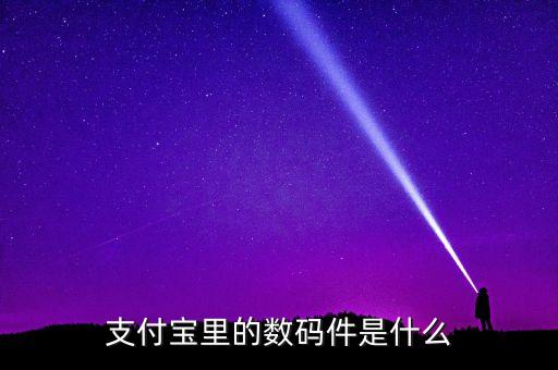 支付寶機(jī)具是什么，支付寶里的數(shù)碼件是什么