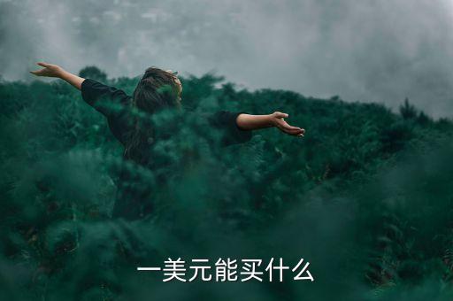 一美元能買(mǎi)什么