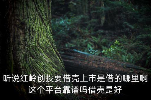 聽說(shuō)紅嶺創(chuàng)投要借殼上市是借的哪里啊這個(gè)平臺(tái)靠譜嗎借殼是好
