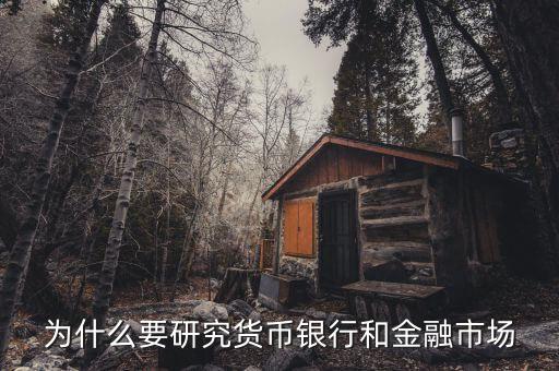 為什么要研究貨幣銀行和金融市場(chǎng)