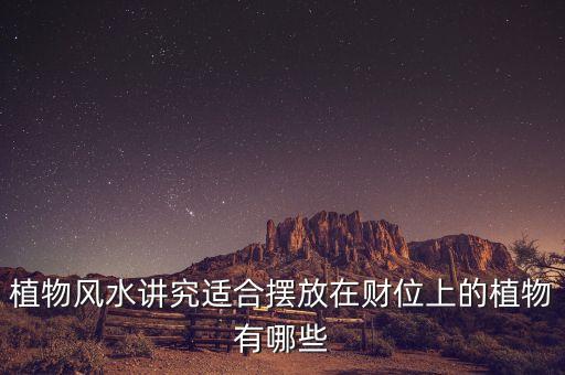 16年擺什么花利于財(cái)，客廳擺放什么花最吉利