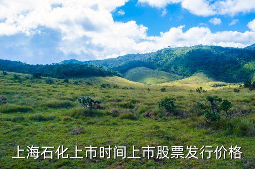 上海石化上市時(shí)間上市股票發(fā)行價(jià)格