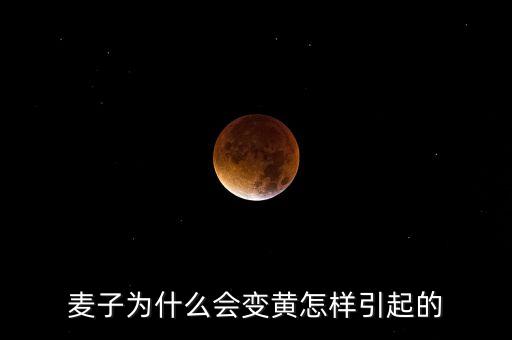 麥子為什么會變黃怎樣引起的
