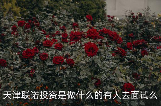 天河聯(lián)盟投資是什么，廣州理財(cái)公司是真的