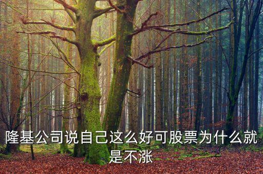 百隆東方為什么不漲，隆基公司說自己這么好可股票為什么就是不漲
