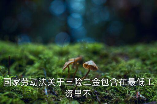三險二金是什么，廈門3險2金包括什么