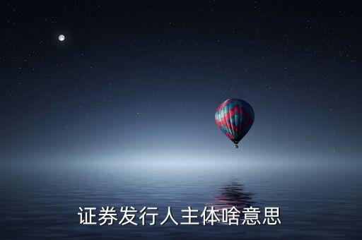 什么是股票發(fā)行人，發(fā)行人的概念是什么