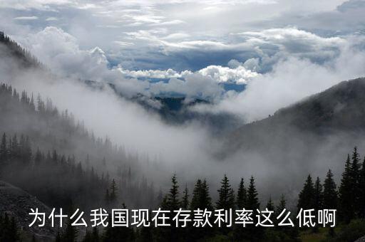 為什么我國(guó)現(xiàn)在存款利率這么低啊
