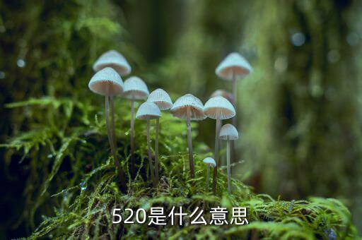 什么是1浪5，江恩數(shù)浪法則如何劃分五浪