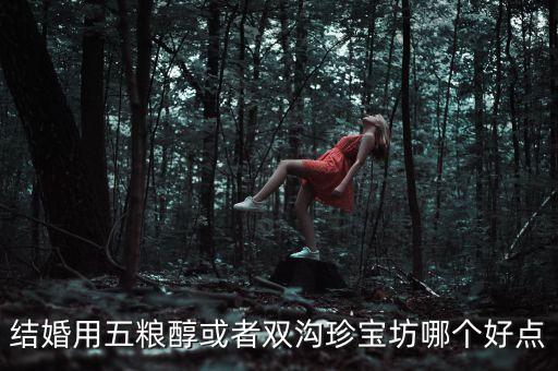 雙溝目前最好的酒是什么，結(jié)婚用五糧醇或者雙溝珍寶坊哪個好點