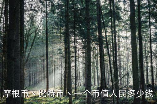 摩根幣商家攥什么錢，摩根幣是什么摩根幣可以賺錢嗎