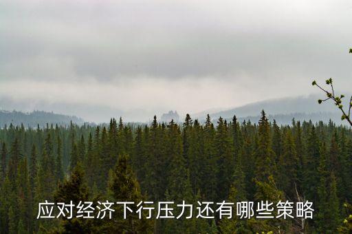 應(yīng)對經(jīng)濟下行壓力還有哪些策略
