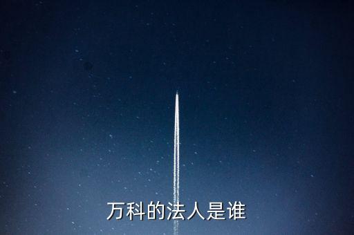 萬(wàn)科的法人是誰(shuí)
