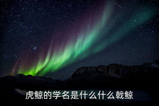折戟鯨是什么，虎鯨的學(xué)名是什么什么戟鯨