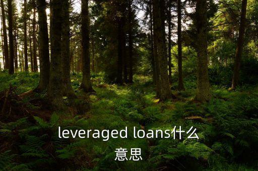 leveraged loans什么意思