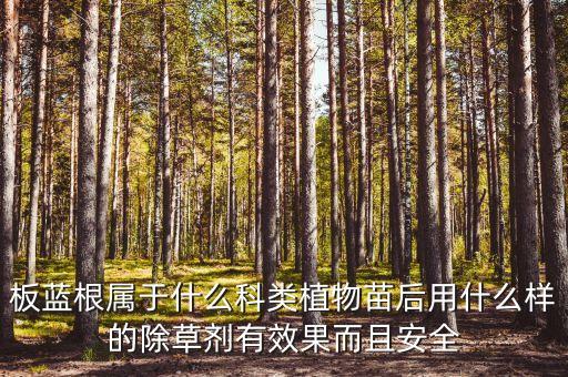 板藍(lán)根屬于什么科類植物苗后用什么樣的除草劑有效果而且安全
