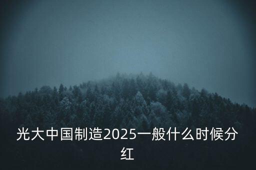 光大中國制造2025一般什么時(shí)候分紅