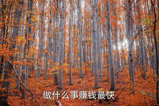 做什么事賺錢最快
