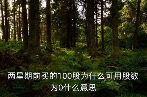 兩星期前買的100股為什么可用股數(shù)為0什么意思