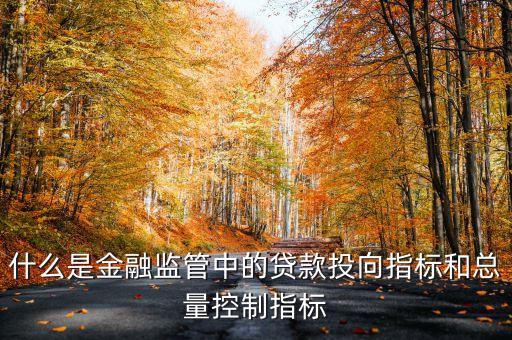 什么是金融監(jiān)管中的貸款投向指標(biāo)和總量控制指標(biāo)