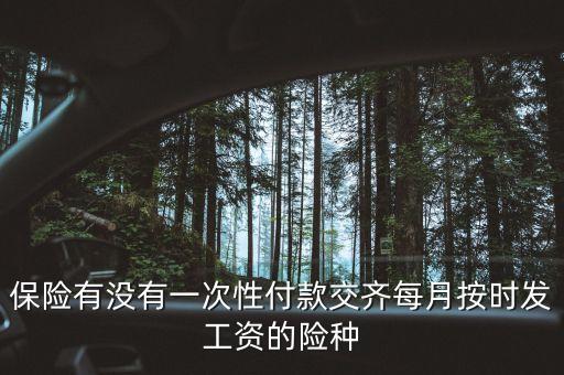 什么保險可以一次繳費，什么保險一次性交費
