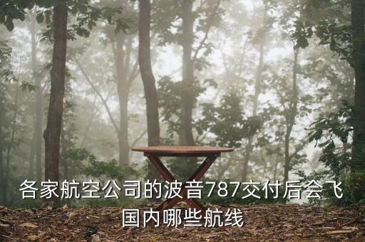 國航787什么時(shí)候交付，國內(nèi)外有幾家航空公司擁有波音787的航空公司是哪幾家