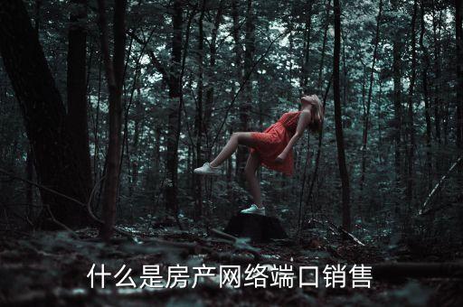 房產(chǎn)端口是什么，什么是房產(chǎn)網(wǎng)絡(luò)端口銷(xiāo)售