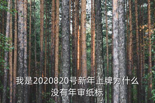 我是2020820號(hào)新年上牌為什么沒(méi)有年審紙標(biāo)