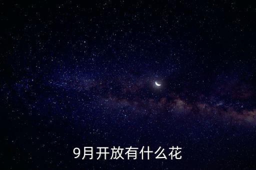 九月什么花經(jīng)路放，9月開放有什么花