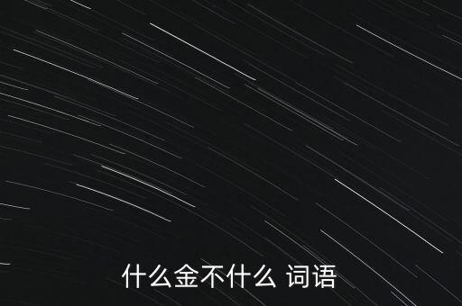什么金不甚，什么金不什么 詞語