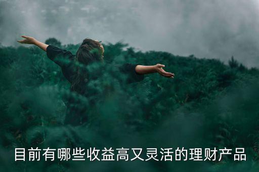 目前有哪些收益高又靈活的理財產(chǎn)品