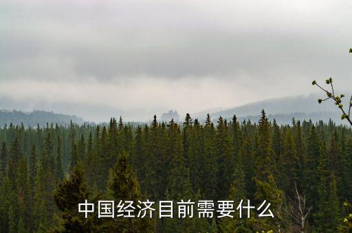 中國(guó)經(jīng)濟(jì)發(fā)展需要什么，我國(guó)經(jīng)濟(jì)發(fā)展的3大需求什么