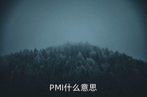 pmi反映什么，PMI什么意思