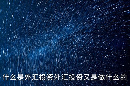 什么是外匯投資外匯投資又是做什么的